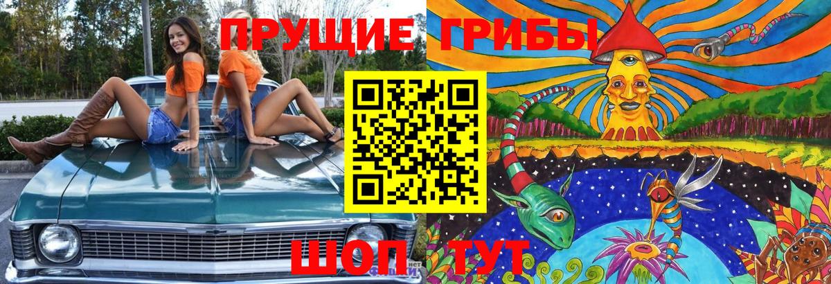 Видное  Псилоцибиновые грибы GOLDEN TEACHER  Вход с VPN 
